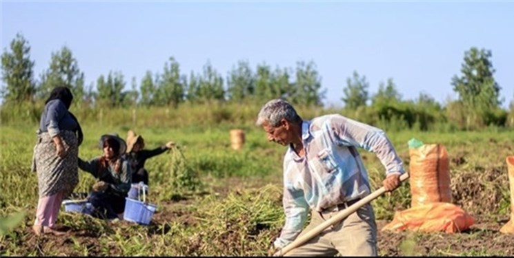 “انتقاد برای دهقانان ایران” نمونه ای از تلاش سیاسیون شهری برای نفوذ در جامعه روستایی