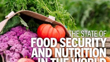 وضعیت امنیت غذایی و تغذیه جهان در سال ۲۰۲۲