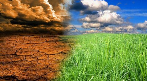 بحران تغییرات اقلیمی و چالش های ژئوپلتیک نظام غلات چین