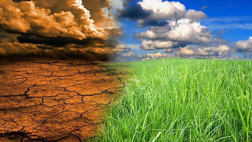 بحران تغییرات اقلیمی و چالش های ژئوپلتیک نظام غلات چین