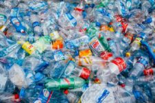 آن چه که باید در مورد آلودگی پلاستیک بدانید