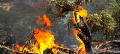 آتش‌سوزی جنگل‌های هیرکانی